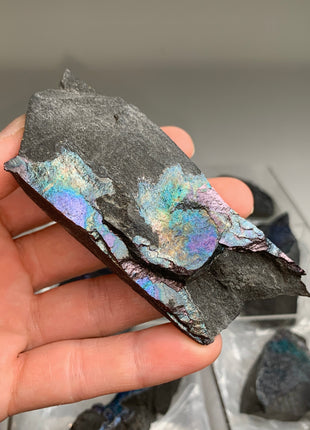 Rare ! Bornite Specimens Lot 🌈 - 7 Pieces