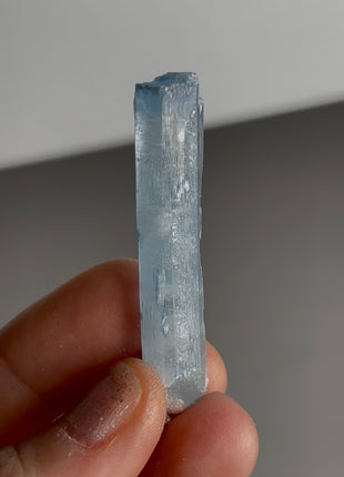 Blue Cap Aquamarine