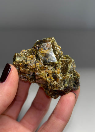 Rare Bicolor Andradite Garnet Specimen