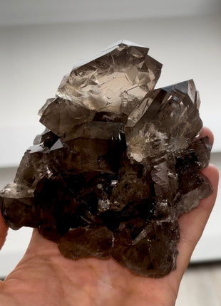 Double Gwindel ! Quartz from Mont Blanc PM0991