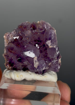 Red Amethyst Flower - From Thunder Bay, Canada