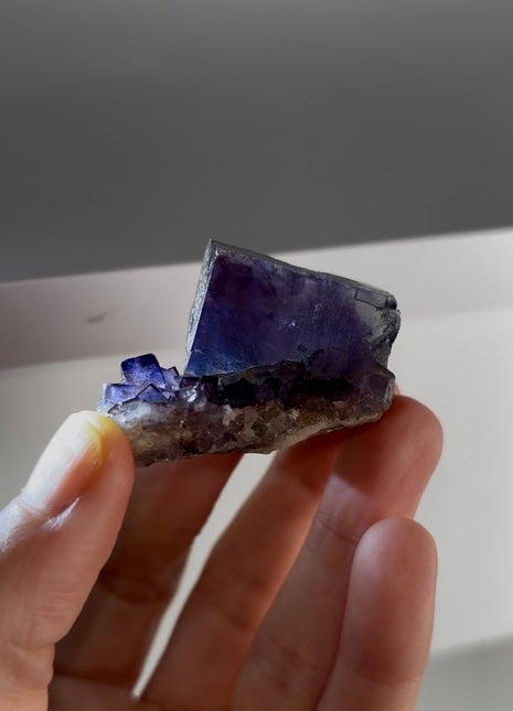 Blue Phantom Fluorite Special Price 💥