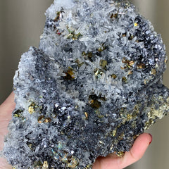 Collection image for: Rainbow Pyrite