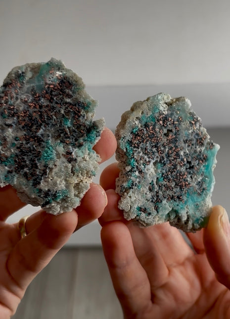 Stunning  ! Blue Chrysocolla with Native Copper Pair