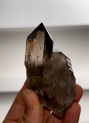 Smoky Quartz from Mont Blanc PM0987