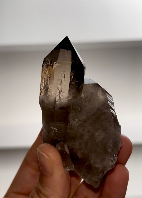Smoky Quartz from Mont Blanc PM0987