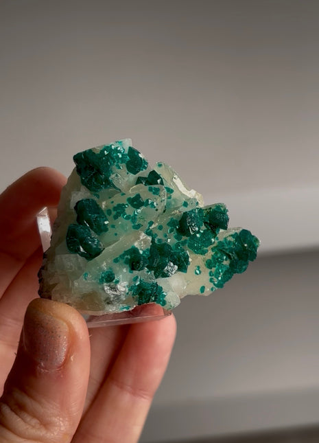 New find ! Green Dioptase with Calcite Collection # 707