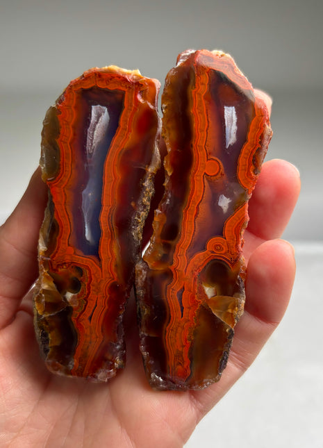 Black Sea Agate Pair