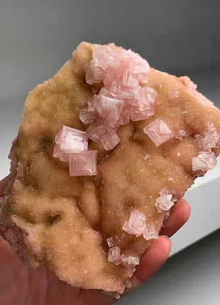 New ! Pink Halite with Great Crystallization - from Searles Lake, California