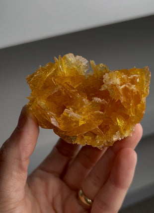 Golden Honey Selenite Flower from Peru