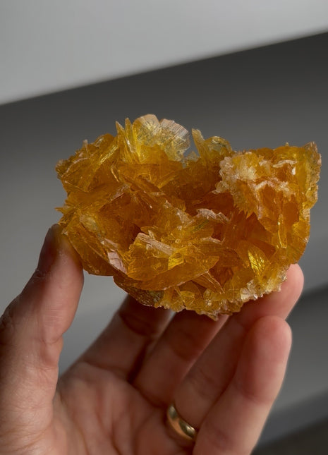 Golden Honey Selenite Flower from Peru