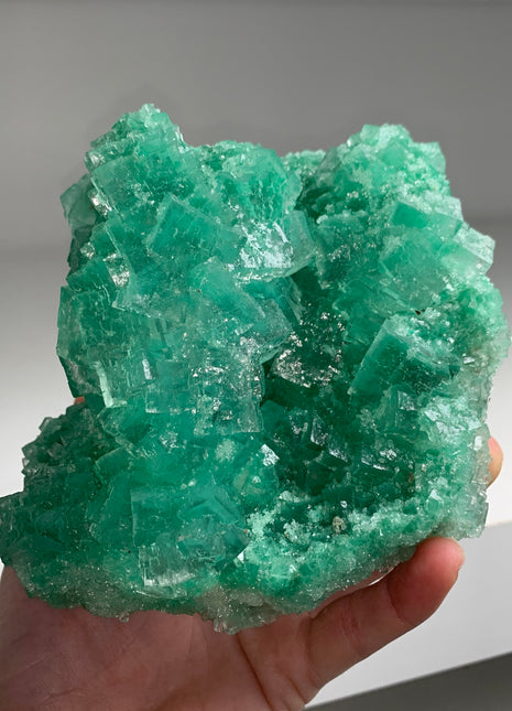 Incredible Green Halite with Atacamite inclusion - From Lubin mine, Poland