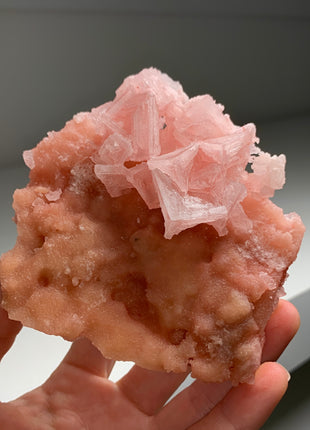 Pink Halite with Great Crystallization - from Searles Lake, California DWS