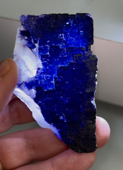 Blurple Fluorite from Muzquiz, Mexico 1