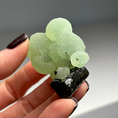 Collection image for: Apple Green Prehnite