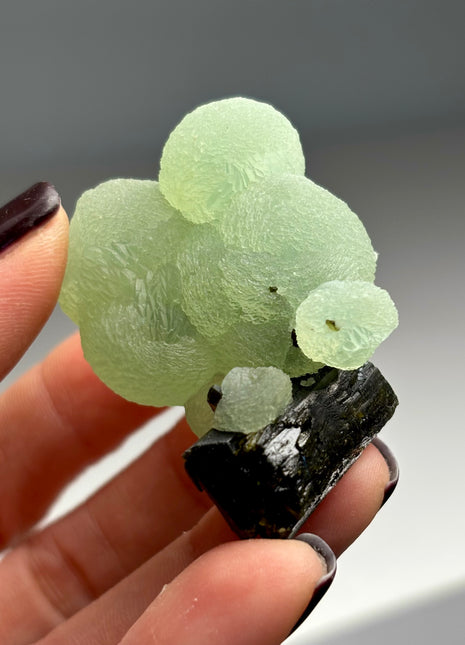 Green Prehnite with Epidote - From Mali