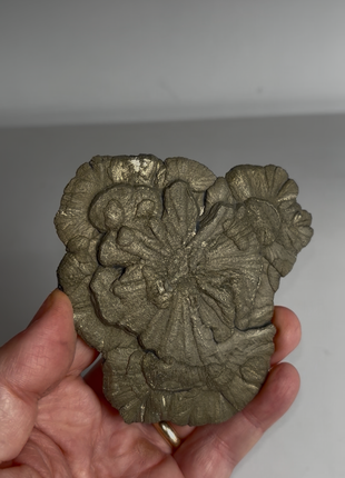 Pyrite Sun - From Sparta, Illinois