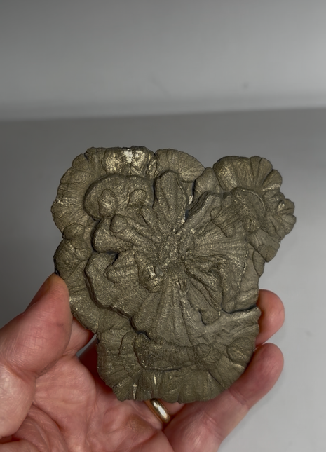 Pyrite Sun - From Sparta, Illinois