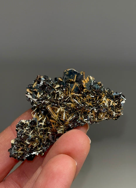 Golden Rutile with Metallic Hematite