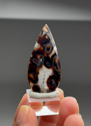 New Arrival ! Orbicular Agate