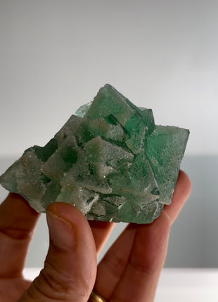 Glittery Green Fluorite PM0632