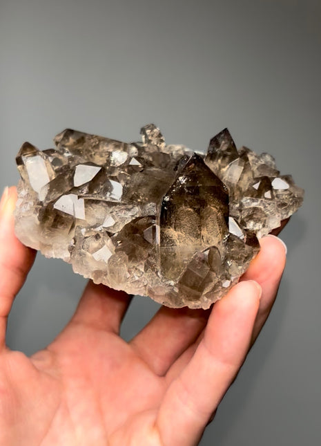 New ! Alpine Smoky Quartz