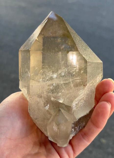 Smoky Quartz with Glittery Green Chlorite - From French Alps