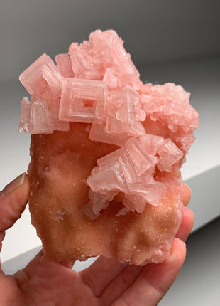 New ! Pink Halite with Great Crystallization - from Searles Lake, California