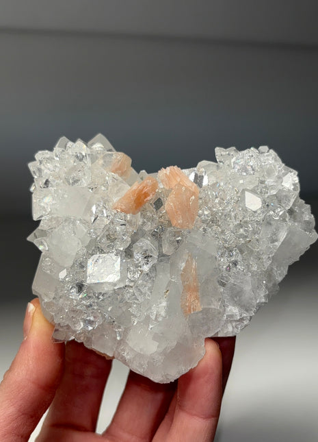 Brilliant Apophyllite with Pink Stilbite