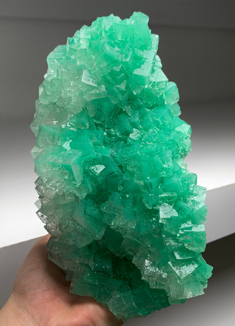 Amazing ! Green Cubic Halite - From Lubin mine, Poland