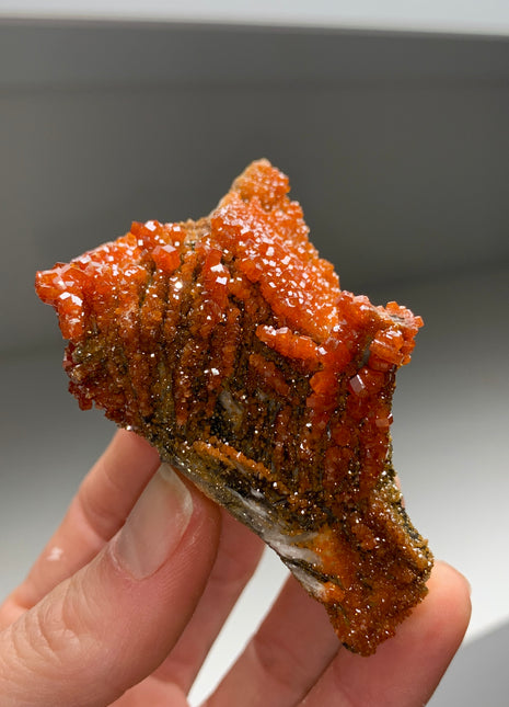 Lustrous Red Vanadinite on Barite - From Midelt, Morocco