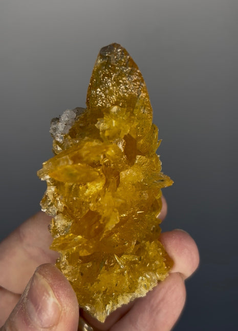 Finest 💎 Golden Selenite from Peru