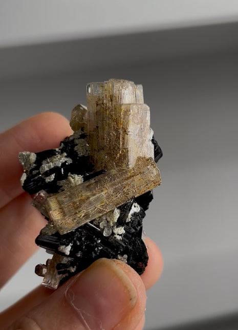 Black Tourmaline with Beryl PM1410