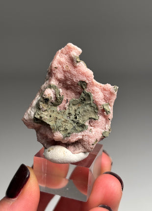 Pink Rhodocrosite - From Potosi mine