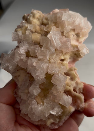 Rare ! Pink Green Bicolor Halite