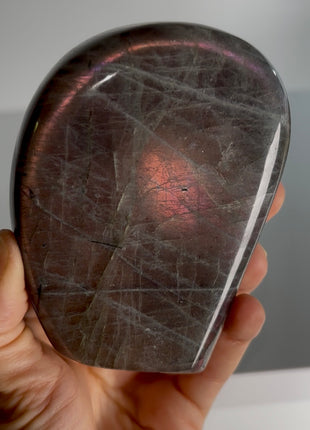 Incredibly Colorful Labradorite PM0553
