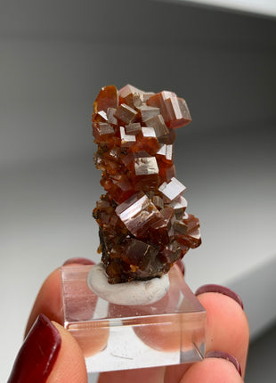 Red Vanadinite with Big Crystals