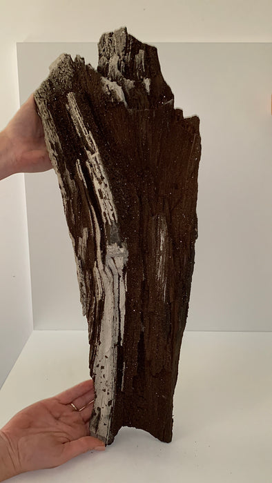 Stunning and Rare Permineralized Fossil Wood with Quartz - 5.1 kgs !! From Germany 🔥🔥