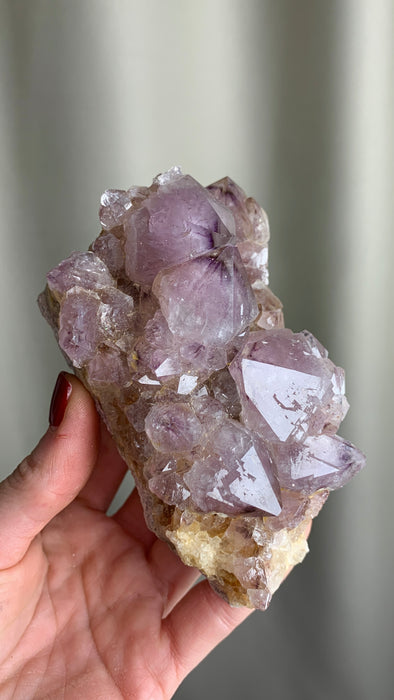Wow ! Cactus Quartz with Big Crystals - From South African Republic