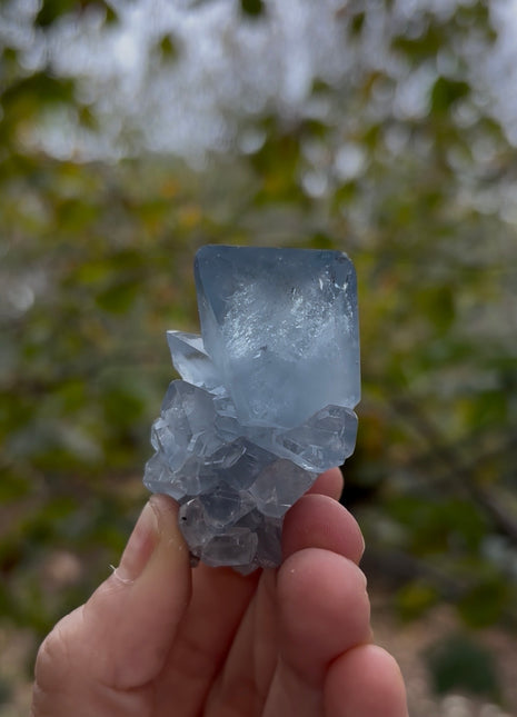 Perfect ! Sky Blue Celestite 💎