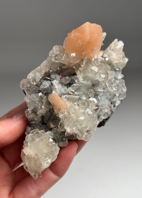 Apophyllite with Pink Stilbite DW019