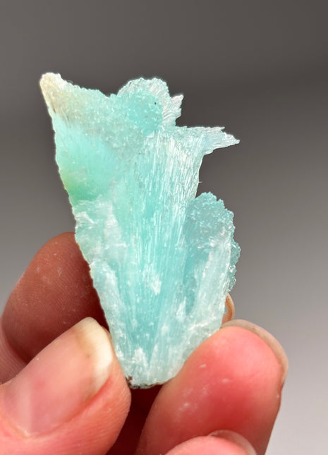 Vibrant Blue Aragonite