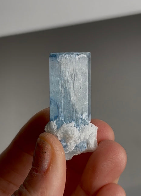 Blue Cap Aquamarine