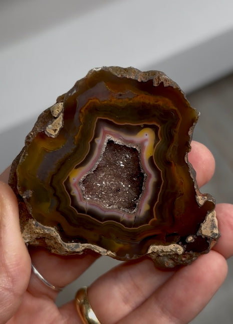 Condor Agate Geode from Argentina PM0883