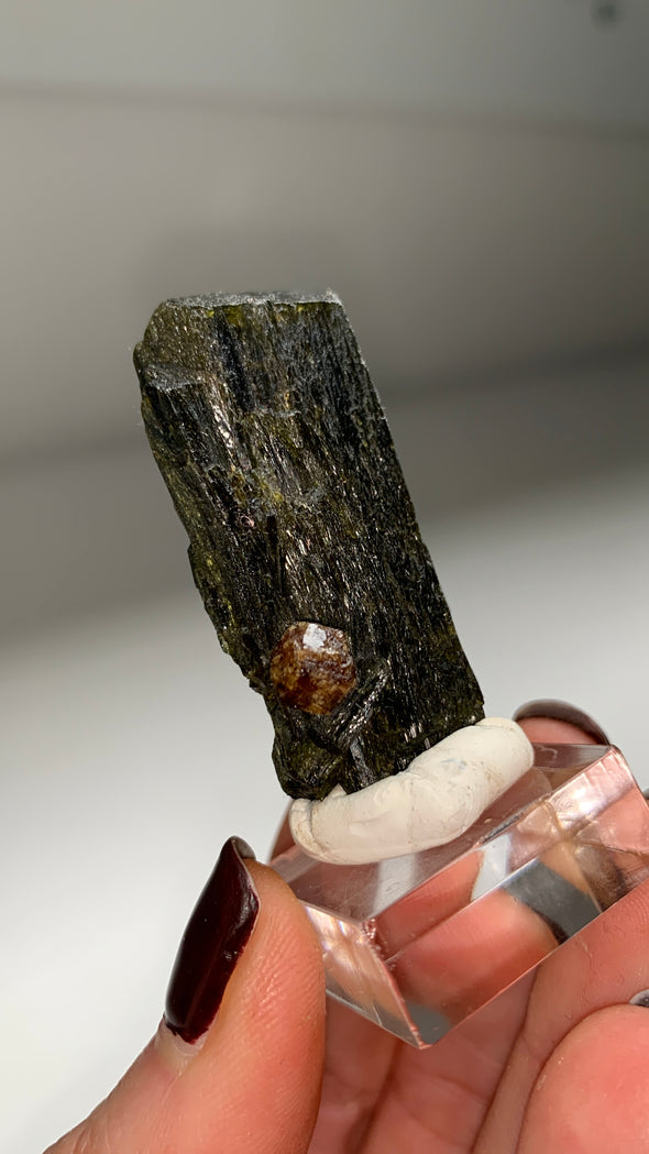 New Arrival ! Garnet var. Andradite with Glossy Epidote - From Mali