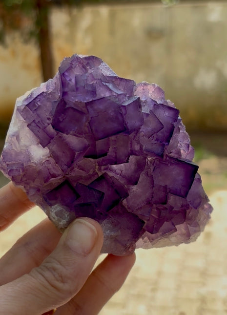 New find ! Fluorite from Turkey PM1062