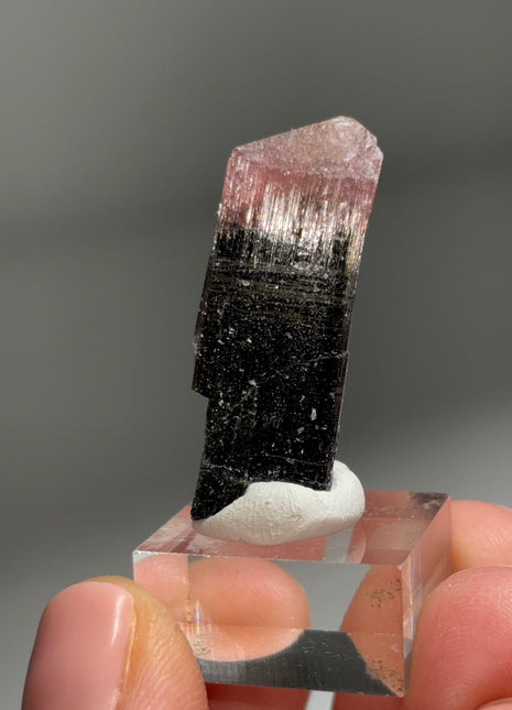 Pink Cap Tourmaline