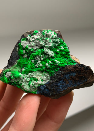 Vibrant Green Conichalcite ! From Spain