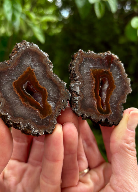 Wow ! Black Sea Agate Pair
