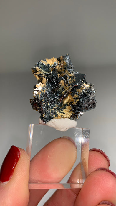 New Arrival !  Rutile with Shiny Hematite - From Brazil